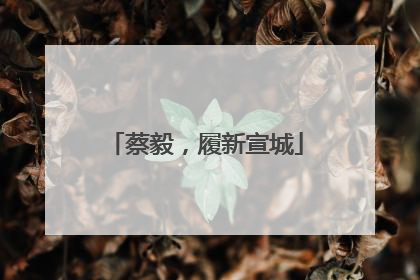 蔡毅，履新宣城