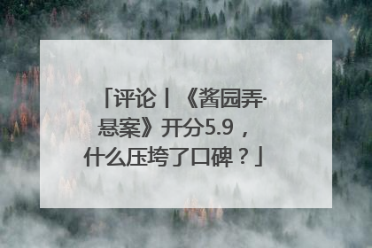评论丨《酱园弄·悬案》开分5.9，什么压垮了口碑？
