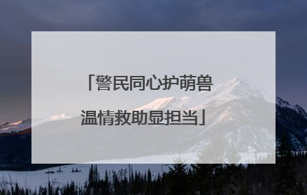警民同心护萌兽 温情救助显担当