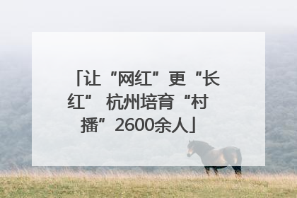 让“网红”更“长红” 杭州培育“村播”2600余人