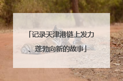 记录天津港链上发力、蓬勃向新的故事
