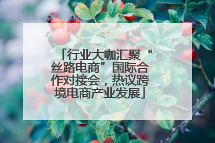 行业大咖汇聚“丝路电商”国际合作对接会，热议跨境电商产业发展