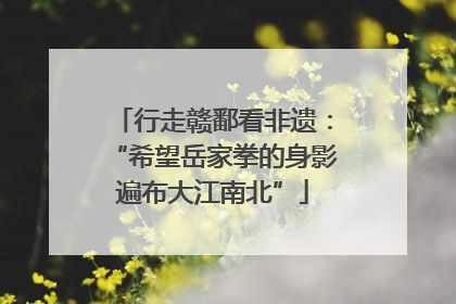 行走赣鄱看非遗：“希望岳家拳的身影遍布大江南北”