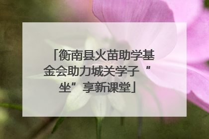衡南县火苗助学基金会助力城关学子“坐”享新课堂