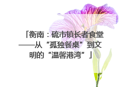 衡南：硫市镇长者食堂——从“孤独餐桌”到文明的“温馨港湾”