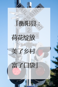 衡阳县：荷花绽放 美了乡村 富了口袋