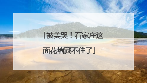 被美哭！石家庄这面花墙藏不住了