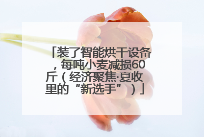 装了智能烘干设备，每吨小麦减损60斤（经济聚焦·夏收里的“新选手”）