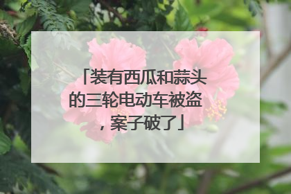 装有西瓜和蒜头的三轮电动车被盗，案子破了