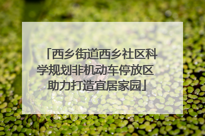 西乡街道西乡社区科学规划非机动车停放区 助力打造宜居家园
