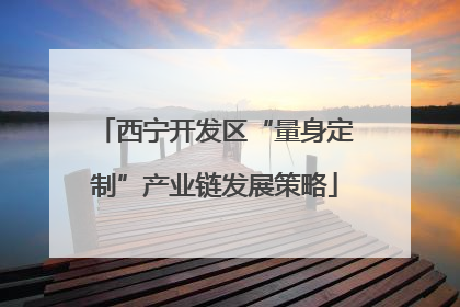 西宁开发区“量身定制”产业链发展策略