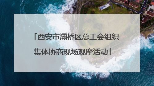 西安市灞桥区总工会组织集体协商现场观摩活动
