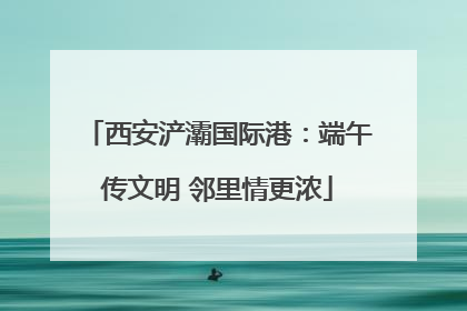 西安浐灞国际港：端午传文明 邻里情更浓