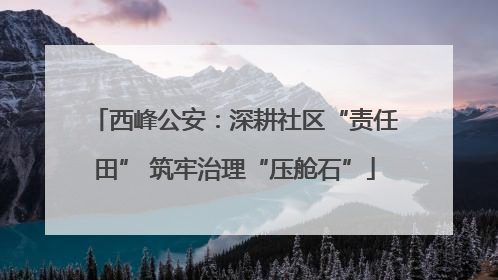西峰公安：深耕社区“责任田” 筑牢治理“压舱石”