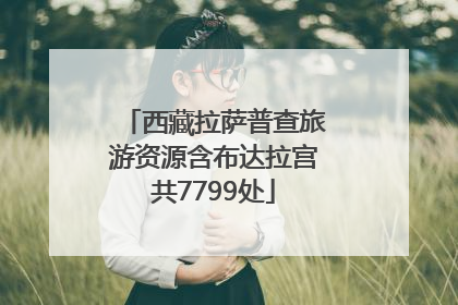 西藏拉萨普查旅游资源含布达拉宫共7799处