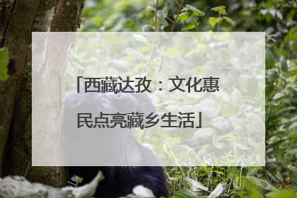 西藏达孜：文化惠民点亮藏乡生活