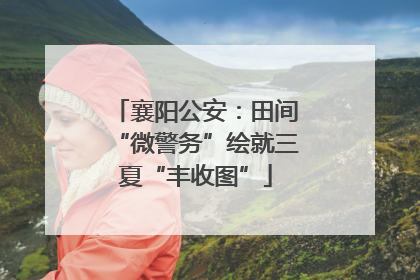 襄阳公安：田间“微警务”绘就三夏“丰收图”