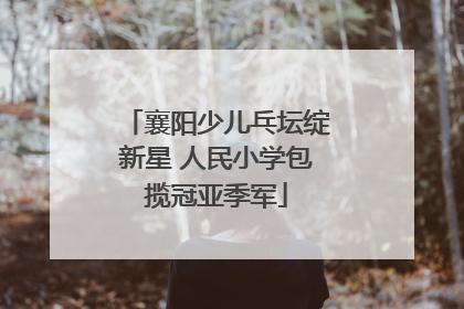 襄阳少儿乓坛绽新星 人民小学包揽冠亚季军