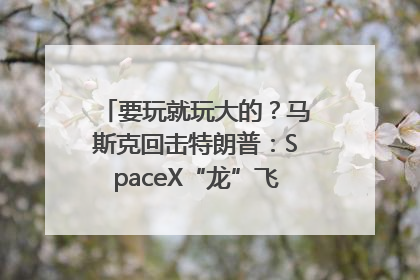 要玩就玩大的？马斯克回击特朗普：SpaceX“龙”飞船将立即退役！