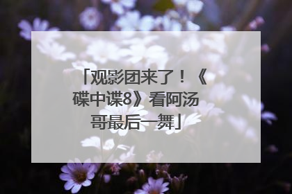 观影团来了！《碟中谍8》看阿汤哥最后一舞