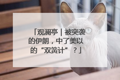 观澜亭｜被突袭的伊朗，中了美以的“双簧计”？