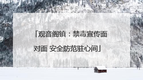 观音阁镇：禁毒宣传面对面 安全防范驻心间