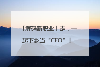 解码新职业丨走，一起下乡当“CEO”