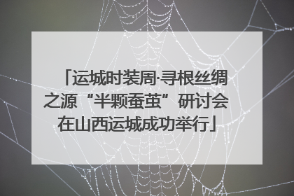 运城时装周·寻根丝绸之源“半颗蚕茧”研讨会在山西运城成功举行