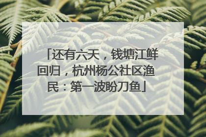 还有六天，钱塘江鲜回归，杭州杨公社区渔民：第一波盼刀鱼