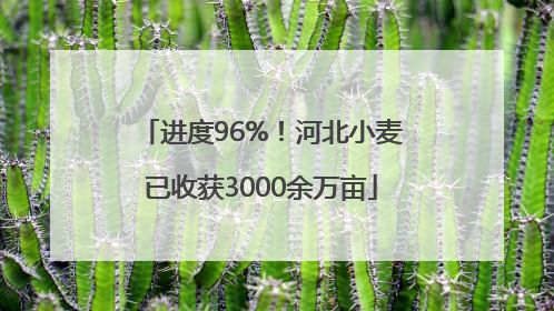 进度96%！河北小麦已收获3000余万亩