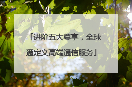 进阶五大尊享，全球通定义高端通信服务
