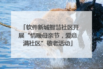 软件新城智慧社区开展“情暖母亲节，爱意满社区”敬老活动