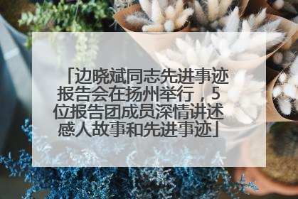 边晓斌同志先进事迹报告会在扬州举行，5位报告团成员深情讲述感人故事和先进事迹