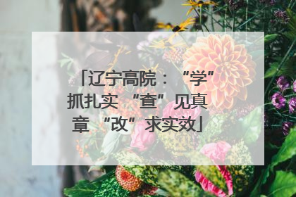 辽宁高院：“学”抓扎实 “查”见真章 “改”求实效