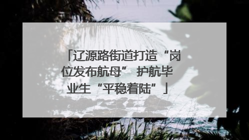 辽源路街道打造“岗位发布航母” 护航毕业生“平稳着陆”