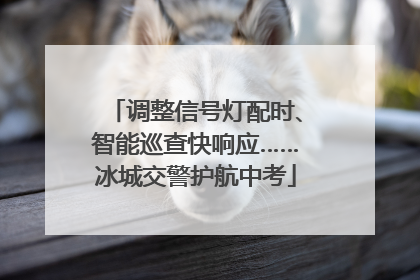 调整信号灯配时、智能巡查快响应……冰城交警护航中考