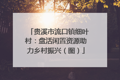 贵溪市流口镇细叶村：盘活闲置资源助力乡村振兴（图）