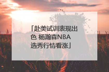 赴美试训表现出色 杨瀚森NBA选秀行情看涨