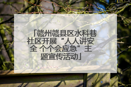 赣州赣县区水科巷社区开展“人人讲安全 个个会应急”主题宣传活动