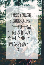 赣江观澜：赣鄱大地“一村一品”何以推动乡村产业“百花齐放”？
