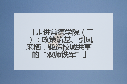走进常德学院（三）：政策筑基、引凤来栖，锻造校城共享的“双师铁军”