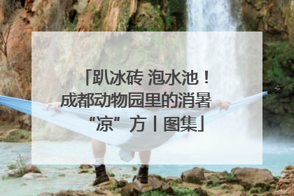 趴冰砖 泡水池！成都动物园里的消暑“凉”方丨图集