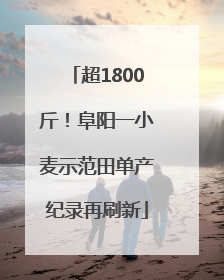 超1800斤！阜阳一小麦示范田单产纪录再刷新