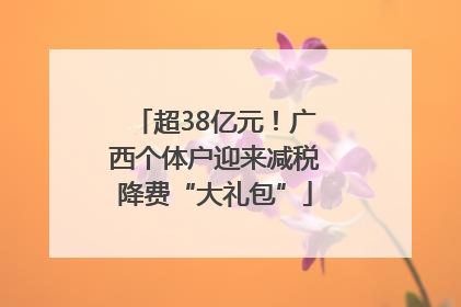 超38亿元！广西个体户迎来减税降费“大礼包”