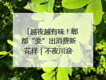 越夜越有味！郫都“变”出消费新花样｜不夜川渝·夜经济调研行