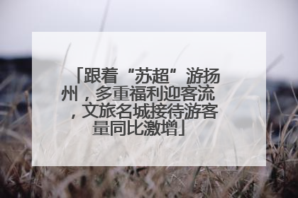 跟着“苏超”游扬州，多重福利迎客流，文旅名城接待游客量同比激增