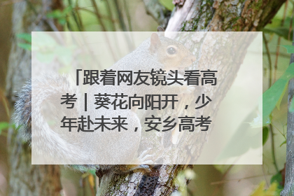 跟着网友镜头看高考｜葵花向阳开，少年赴未来，安乡高考首日的希望图景