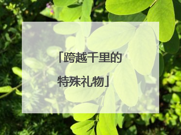 跨越千里的特殊礼物