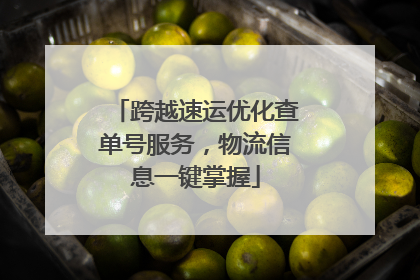 跨越速运优化查单号服务，物流信息一键掌握