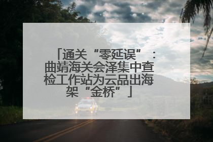 通关“零延误”：曲靖海关会泽集中查检工作站为云品出海架“金桥”